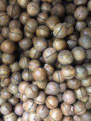 Macadamia nuts with shell - Chabi wala Akhroot