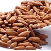 Premium Quality Chilgoza- Pine Nuts