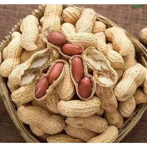 Mong Phali para chanar - Parachanar peanut